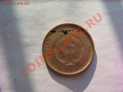 Прошу оценить красавицу - IMG_5591.JPG