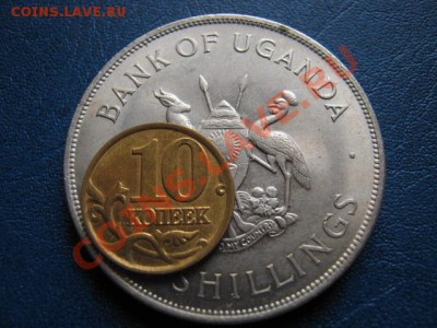 ФАО Уганда 5 шиллингов 1968 с 10 руб...  до 22.08 в 21.00 М - IMG_0022