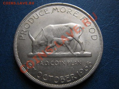 ФАО Уганда 5 шиллингов 1968 с 10 руб...  до 22.08 в 21.00 М - IMG_0020