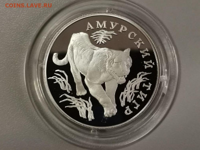 1р 1993г Амурский тигр пруф серебро Ag900, до 16.02 - Y Тигр-1