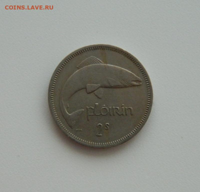 Ирландия 1 флорин 1964 г. (Фауна). до 13.02.20 - DSCN9885.JPG