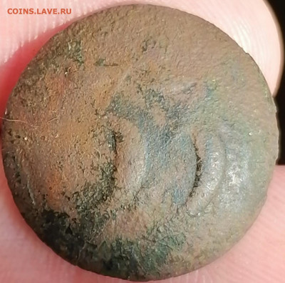 Пуговицы РИ до 14.02.2020 22.30 - IMG_20200127_121500