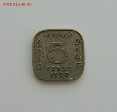 Британский Цейлон 5 центов 1920 г. до 13.02.20 - DSCN9979.JPG