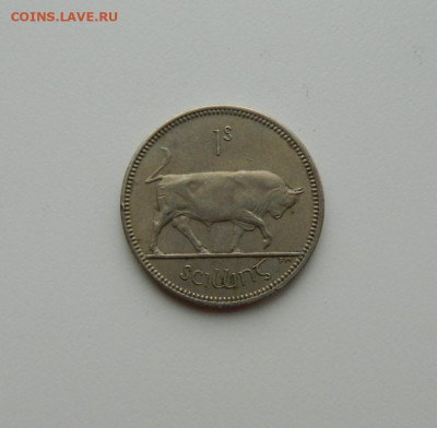 Ирландия 1 шиллинг 1966 г. (Фауна) до 17.02.20 - DSCN9997.JPG