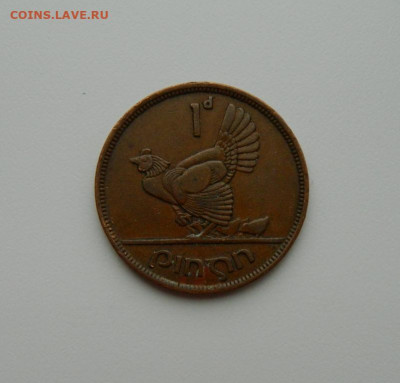 Ирландия 1 пенни 1942 г. (Фауна) до 17.02.20 - DSCN0012.JPG