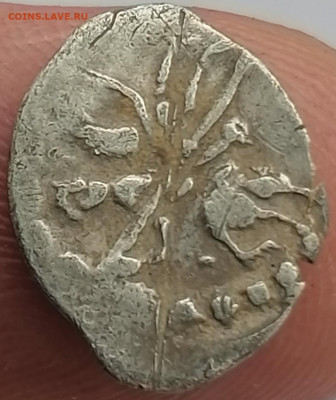 2 чешуйки до 14.02.2020 22.30 - IMG_20200207_161110