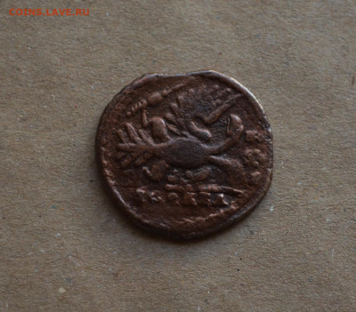 Денга 1734 года перечекан до 22-00 МСК 15.02.20 - DSC_0056.JPG