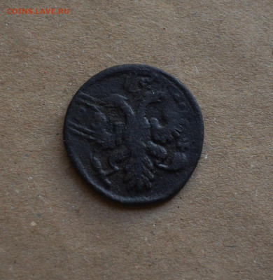 Денга 1735 года перечекан до 22-00 МСК 15.02.20 - DSC_0061.JPG