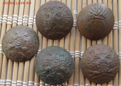 Пуговица 5 шт. окон. 15.02.2020 г. 22-00 МСК. - 1