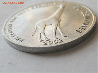 КОНГО 50 сантимов 2002. Жираф. ОТЛИЧНАЯ. 17.02.2020. - 041.JPG