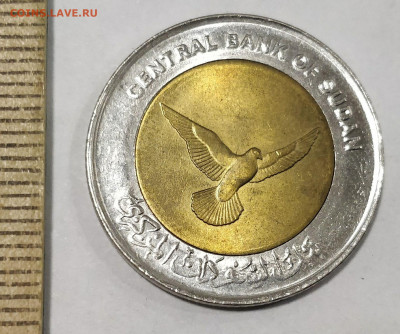 (БИМ) СУДАН 50 пиастров 2006 (не магнетик) до 15.02.20 - 162992112 (1)