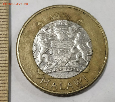 (БИМ) МАЛАВИ 10 квач 2006 до 15.02.20 - 162990173 (1)