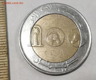 (БИМ) АЛЖИР 100 динаров 2010 до 15.02.20 - 163009566