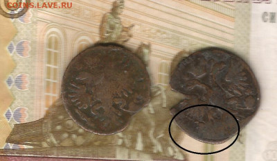 может ли деньга 1731 быть перечеканом - денга-пер2