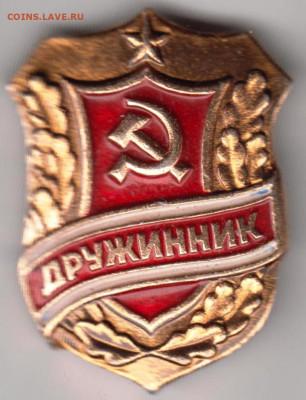 Знак ДРУЖИННИК до 20.02.20 г. в 23.00 - 020