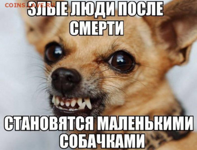 Набивание репы - hPIiP5r0UgI