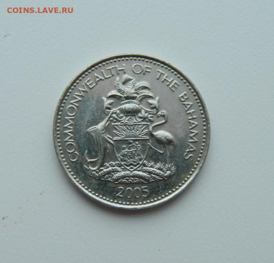 Багамские острова 5 центов 2005 г. до 19.02.20 - DSCN9906.JPG