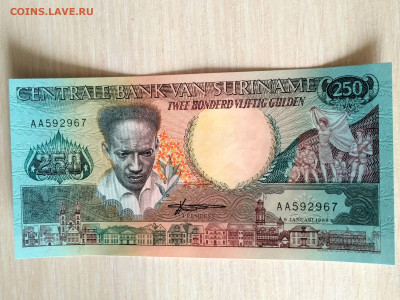 СУРИНАМ,250 гульденов 1988г(серия АА) до 17.02.2020г - IMG_20200215_121811_HDR