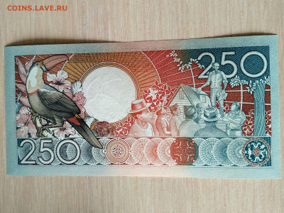 СУРИНАМ,250 гульденов 1988г(серия АА) до 17.02.2020г - IMG_20200215_121818_HDR