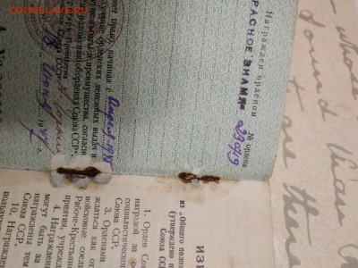 Название? - IMG-76aa8ba02dd50226eba677ce44e3ff00-V