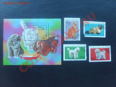 30 руб. - S5000002_thumb