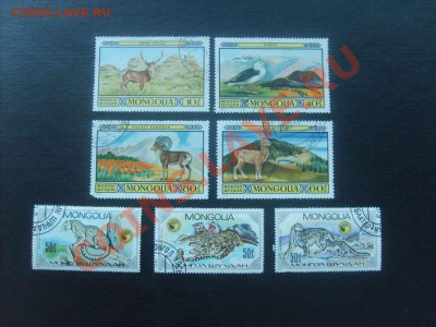 10 руб. - S5000008_thumb