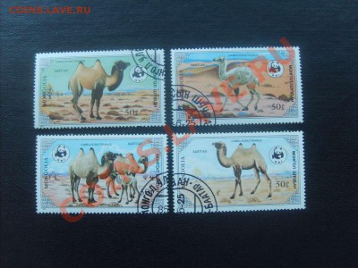 10 руб. - S5000009_thumb