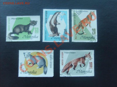 10 руб. - S5000011_thumb