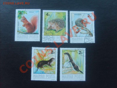 10 руб. - S5000013_thumb