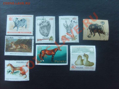 10 руб. - S5000016_thumb