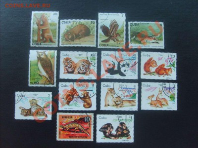 15 руб. - S5000018_thumb