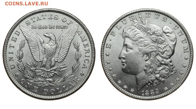 США. 1 доллар 1889 г. Морган. До 19.02.20. - Р240.JPG