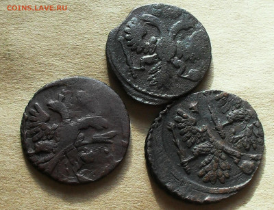 полушка 1740 брак - оценка - SDC17288.JPG