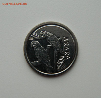 Бразилия 5 крузейро реал 1993 г. (Фауна) до 19.02.20 - DSCN0054.JPG
