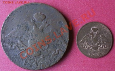фх.до23.08.2011 в 22.00 - P8040155.JPG