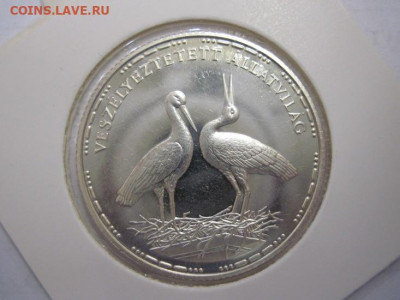 200 форинтов Венгрия 1992 аисты до 20.02.20 - IMG_2949.JPG