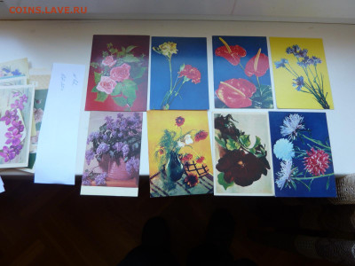 200 ру  цветы - P1060987.JPG
