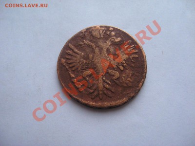 Денга 1731 оценка - IMG_3534.JPG