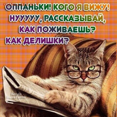 юмор - i