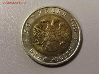 50р 1993г. Туркменский зублефар, до 23.02 - СЧ Зублефар -2