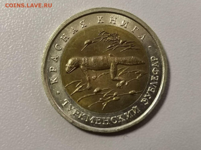 50р 1993г. Туркменский зублефар, до 23.02 - СЧ Зублефар -1