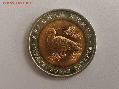 Красная книга: 10р 1992г. Краснозобая казарка(меш), до 25.02 - СЧ Казарка мешк-1