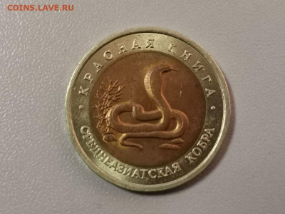 Красная книга: 10р 1992г. Среднеазиатская кобра, до 26.02 - СЧ Кобра -1