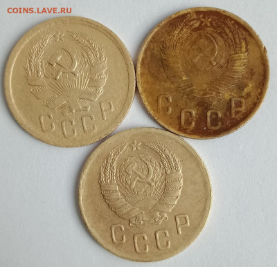 3 совета на определение разновидности - IMG20200221141022