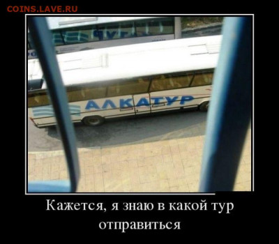 юмор - gj-wdyFvp34