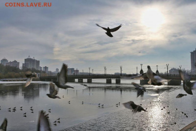 ФОТО - просто фото. Те что получились удачными. - Г12