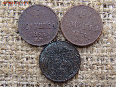Полушки 1853,1854,1858 до 27.02.2020 - П1.JPG