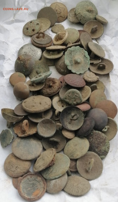 Много пуговиц до 28.02.2020 22.00 - IMG_20200207_160442