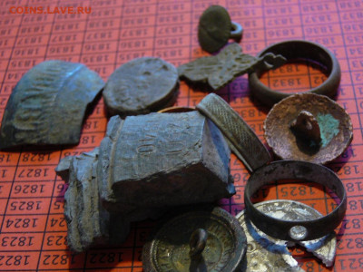 разная копанина до 29.02 - P1100795.JPG