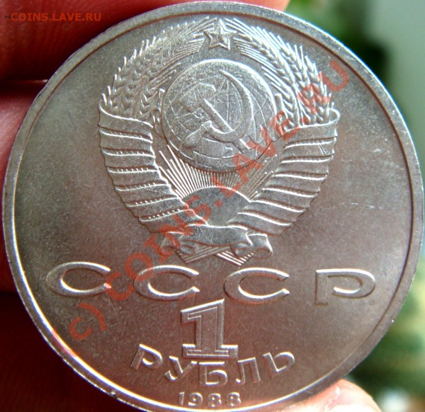 горький просьба опр. разновид - DSC03521.JPG